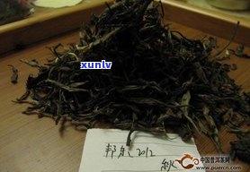 茶王树普洱茶：口感特点与品评