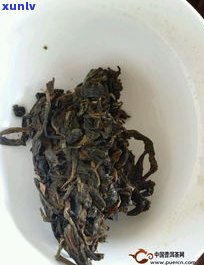 茶王树普洱茶：口感特点与品评