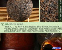 普洱茶盒里的茶针：材质、形状及用途全揭秘