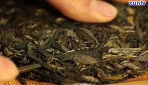 普洱茶紧茶的功能与作用全面解析：禁忌与冲泡方法