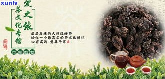 普洱茶紧茶的功能与作用全面解析：禁忌与冲泡方法