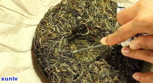 普洱茶紧茶的功能与作用全面解析：禁忌与冲泡方法