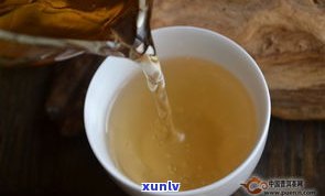 普洱茶是名贵茶么-普洱茶是名贵茶么吗