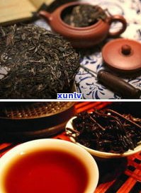 黑茶和普洱茶减肥-黑茶和普洱茶减肥法