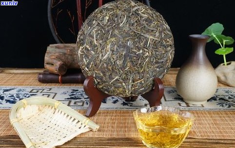 金叶普洱茶紧压茶：品种、品质与传统形状全解析