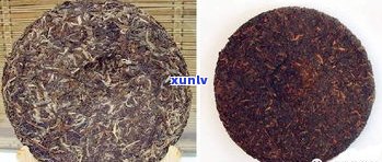 金叶普洱茶紧压茶：品种、品质与传统形状全解析