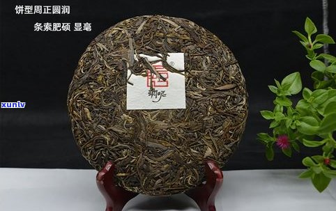 金叶普洱茶紧压茶：定义、特点与传统形状