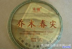 金叶普洱茶紧压茶：定义、特点与传统形状