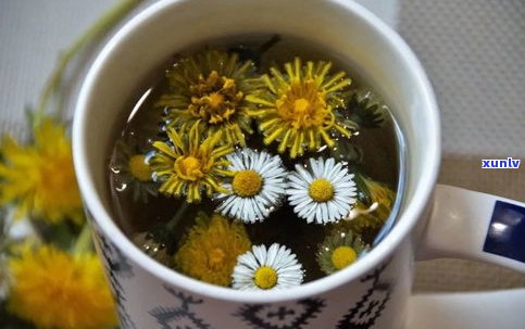 玫瑰普洱茶是红茶还是绿茶？探讨其类别归属与优劣