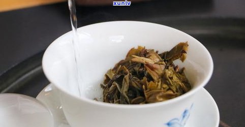 普洱老茶多少钱一斤？最新价格表一览