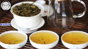 普洱茶中的老树茶：种类、口感与特点全解析