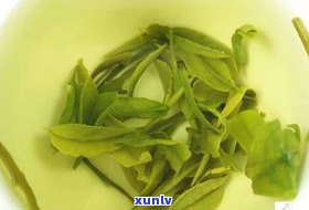 最好的普洱茶黄茶是什么品种？