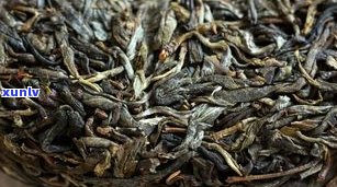 古树藤条普洱生茶价格：种类、功效与区别全解析