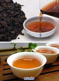 普洱茶秋茶好喝吗-普洱茶秋茶好喝吗?