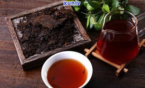 紫茶与普洱茶的区别及功效：全面解析