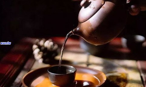 紫茶与普洱茶的区别是什么？深入熟悉两者的特点和差异