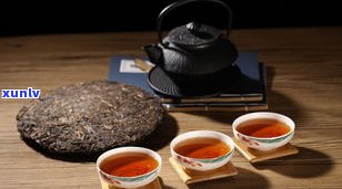 普洱茶秋茶与春茶有何区别？全面解析两者差异与口感