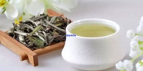 普洱茶秋茶与春茶-普洱茶秋茶与春茶有何区别