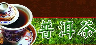 推荐中粮茶普洱茶的理由：中粮中茶经典普洱茶为何值得选择？