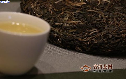 普洱茶的茶种品种有哪些？了解其常见种类与图片