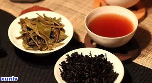 普洱茶的茶种品种-普洱茶的茶种品种有哪些