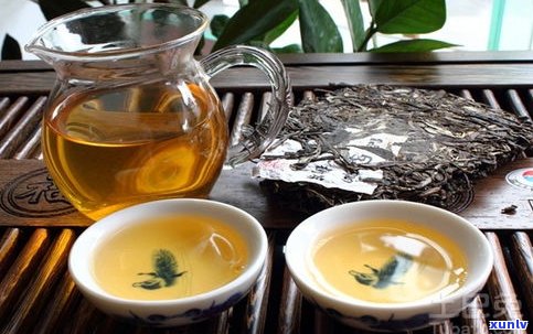 普洱茶的茶种品种-普洱茶的茶种品种有哪些