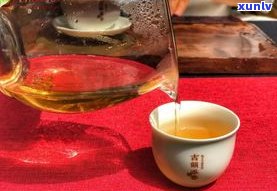 普洱茶的茶种品种-普洱茶的茶种品种有哪些