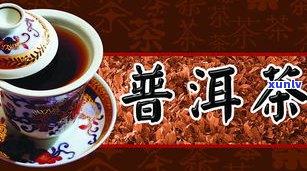 普洱茶也叫黑茶吗？详解其名称由来与区别