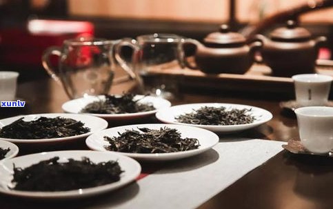 普洱茶存茶的条件-普洱茶存茶的条件是什么