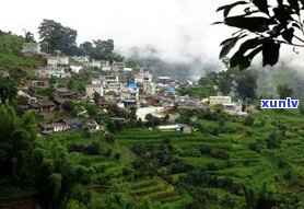 普洱茶山在哪？揭秘云南最隐秘的茶山及名茶品种