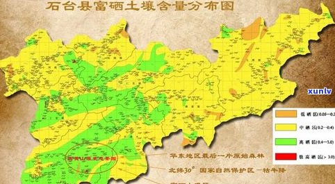 探究普洱地区茶山：种类、分布与排名全解析