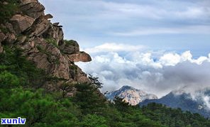 探索普洱茶山风景区：位置、度假区与旅游攻略