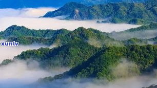 探索普洱茶山风景区：位置、度假区与旅游攻略