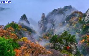 探索普洱茶山风景区：位置、度假区与旅游攻略