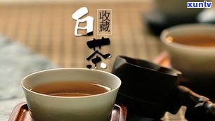 橙皮普洱茶口臭-橙皮普洱茶口臭能喝吗