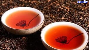 普洱茶是什么茶料-普洱茶是什么茶料做的