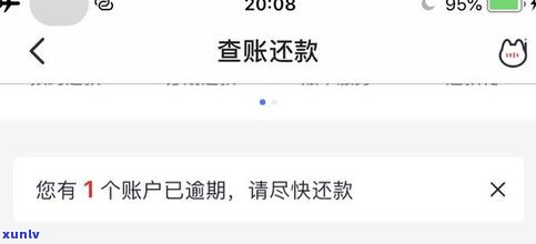 95118：如何协商京东还款、停息挂账及退款？