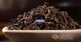 普洱茶是什么茶标志的？了解其象征意义与品牌信息