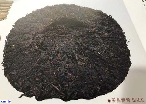 普洱茶是什么茶标志图片大全高清，详细解析普洱茶的标志