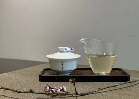 如何正确地撬开普洱茶饼？详解步骤与技巧