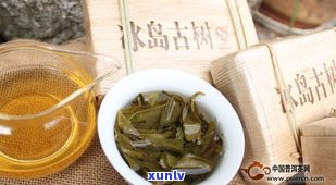 普洱茶开茶怎么泡-普洱茶开茶怎么泡好喝