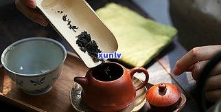普洱熟茶洗茶方法与技巧视频教程