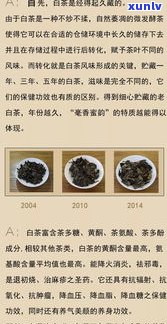 普洱茶制茶师排名榜：最新前十大师名单