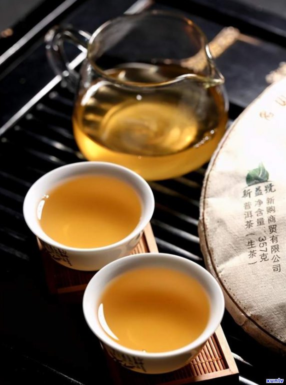 松茸普洱茶：哪种茶叶口感最佳？