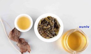 松茸普洱是什么茶？功效与作用解析