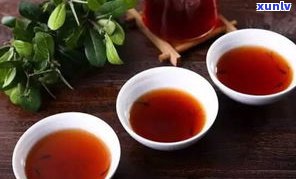 松茸普洱茶什么茶-松茸普洱茶什么茶叶最好