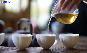 普洱茶：万茶之源还是茶中之王？探讨其地位与原因