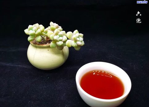 普洱茶饼价钱：2019年云南普洱茶饼价格多少？一饼多少钱？