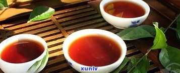 普洱茶属于半发酵茶吗？详解其发酵过程与特点