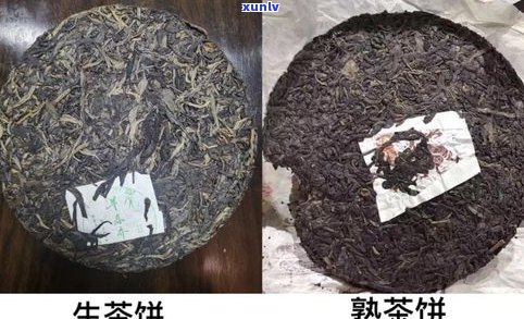 普洱生茶的形状外观特点详解